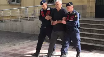 Aydın'da zihinsel engelli kadına çarpan sürücü tutuklandı