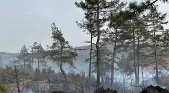 Orhaneli'deki Orman Yangını Kontrol Altına Alındı