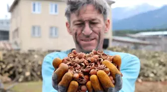 Denizlili Girişimci Fındık Kabuğundan Nargile Kömürü Üretiyor