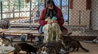Ankara'da bir kadın, evini kedilere yuva yaparak 60 kedinin bakımını üstleniyor