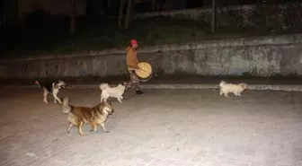 Havzalı Ramazan davulcusu sokak hayvanlarını yalnız bırakmıyor