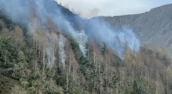 Rize'nin Güneysu ilçesinde çıkan örtü yangını söndürülüyor