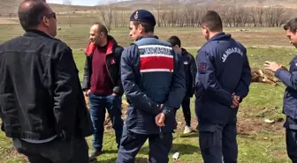 Aras Elektrik Dağıtım Şirketinin ihmali sonucu 3 büyükbaş hayvan telef oldu