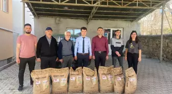 Çiftçilere hibe destekli yağlık ayçiçek tohumu dağıtıldı