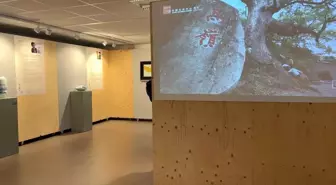 Hollanda'da Çin Seramik Sanat Sergisi