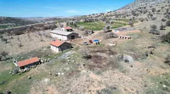 Konya'da kaybolan koyunlar dronla bulundu