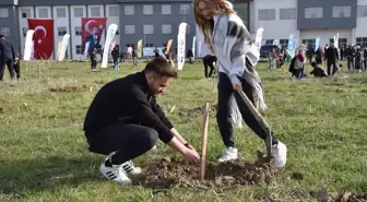 OMÜ Ladik Yerleşkesinde Fidan Dikme Töreni Gerçekleştirildi