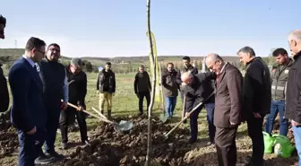 OMÜ Ladik Yerleşkesinde Dünya Ormancılık Haftası Kutlandı