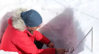 Palandöken'de Çığ Analizi Yapılıyor