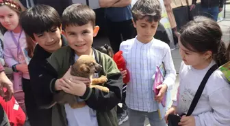 Ünye Belediyesi Sokak Hayvanları İçin Mama Dağıttı