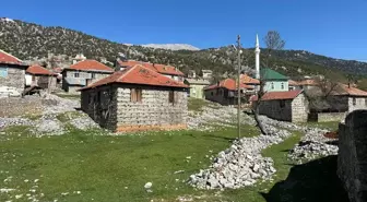 Akseki'de çoban köpeklerinin saldırısına uğrayan kadın hayatını kaybetti