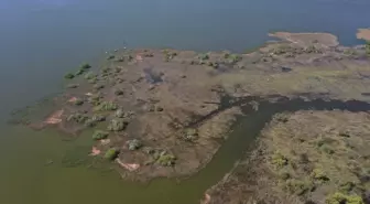 Kuşcenneti Milli Parkı'nda İlkbahar Göçü