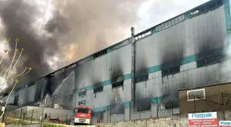 Tekirdağ'da sünger fabrikasında çıkan yangın kontrol altına alındı