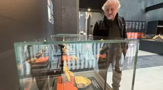 Samsun Müzesi'nde 545 milyon yıllık deniz lalesi ve diğer fosiller sergileniyor