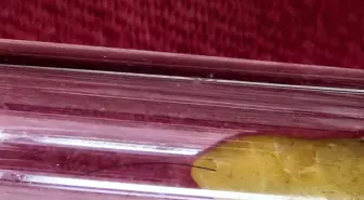 Eskişehir Türbeleri Bakım Onarım ve Geliştirme Derneği Başkanı, Hayme Ana Türbesine Sakal-ı Şerif Hediye Etti