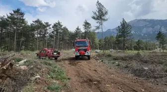 Adana'da çıkan orman yangını kontrol altına alındı