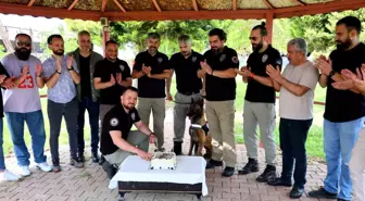 Narkotik Dedektör Köpeği Hulk'un 7. Yaş Günü Kutlandı