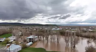 Ağrı'da Badişan Deresi Taştı: Ev ve Ahırlar Su Altında