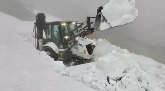 Giresun'da kar nedeniyle yayla yolları ulaşıma açılıyor