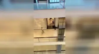 Avustralya'da alışveriş merkezinde bıçaklı saldırı: Ölü ve yaralılar var