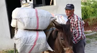 Akaryakıt Zamları Sonrası Kırsal Kesimde Yük Hayvanları Tercih Ediliyor