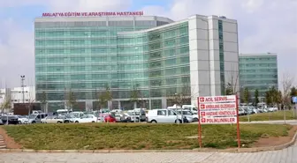 Malatya'da Arı Kovanı Yerleştirme Sırasında İstinat Duvarında Düşen Şahıs Yaralandı