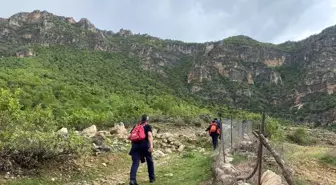 Siirt'te Ot Toplarken Kaya Düşmesi Sonucu Bir Kişi Hayatını Kaybetti