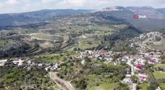 Yayla ve köyler baharla yeşile bürünerek renklendi