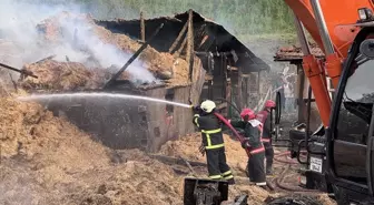 Sakarya'da çıkan yangında hayvanlar telef oldu