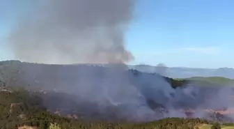 Sinop Boyabat'ta Orman Yangını