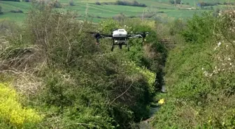 Samsun'da dronlarla sivrisinek mücadelesi başladı