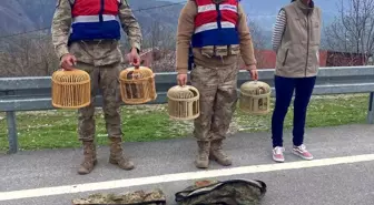 Doğa Koruma Milli Parklar Bitlis Şubesi İl Müdürlüğü'nden Kaçak Keklik Avına Cezai İşlem