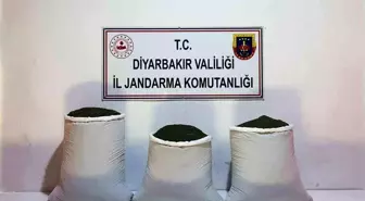 Diyarbakır'da 67 Kilogram Esrar Ele Geçirildi