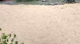 Pakistan'da Sel Felaketi: 39 Kişi Hayatını Kaybetti