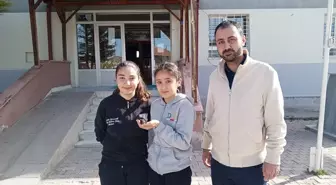 Şarkışla'da öğrenciler tarafından ebabil kuşu bulundu