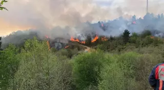 Trabzon ile Giresun sınırındaki örtü yangını kontrol altına alındı