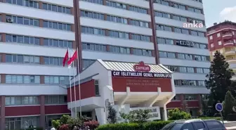 Rizeli Çay Üreticileri Yaş Çay Fiyatının 20 Liradan Az Olmamasını İstiyor