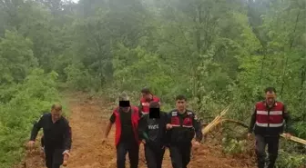 Yalova'da Orman Yangını Zanlısı Gözaltına Alındı