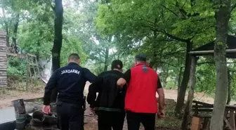 Yalova'da çıkan orman yangınına sebep olan kişi yakalandı