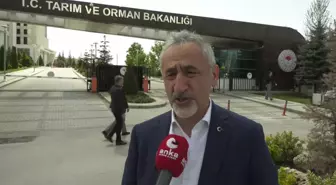 CHP Milletvekili Mustafa Adıgüzel, Kahverengi Kokarca Böceği İstilasını Tarım Bakanlığına Taşıdı