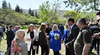 Malatya'da endemik bitki Beydağı Tabiat Parkı'na dikildi