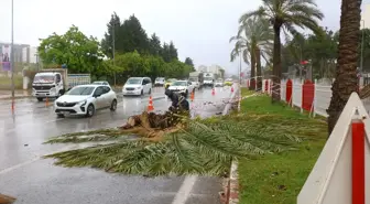 Antalya'da Fırtına Sonrası Büyükşehir Belediyesi Müdahale Etti