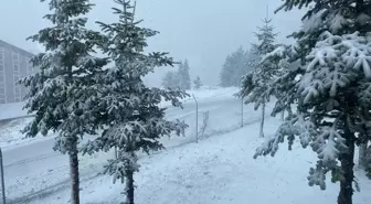 Bolu'nun yüksek kesimlerinde nisanda kar etkisini gösterdi