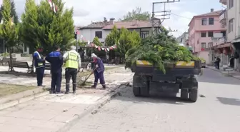 Hanönü Belediyesi Park ve Bahçelerde Bakım Çalışması Başlattı