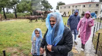 Çanakkale Kara Savaşları'nın 109. yılında Gelibolu Yarımadası'na binlerce ziyaretçi