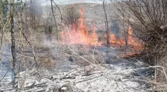 Tokat'ta çıkan yangın söndürüldü