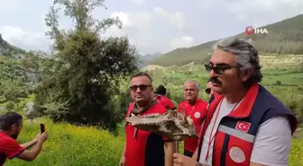 Doğada arama kurtarma eğitimi