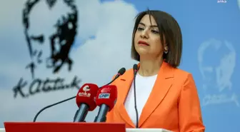 CHP Genel Başkan Yardımcısı Gamze Taşcıer, 1 Mayıs'ta Çalışma Meclisi'nin toplanmasına tepki gösterdi