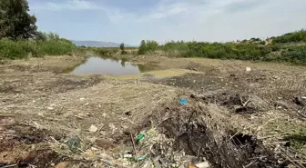 Büyük Menderes Nehri'nde Kuraklık: Sular Çekildi