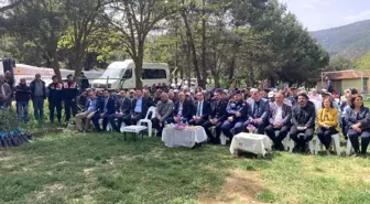 Burdur'da Zeytin Üretimi İçin 25 Bin Fidan Dağıtıldı